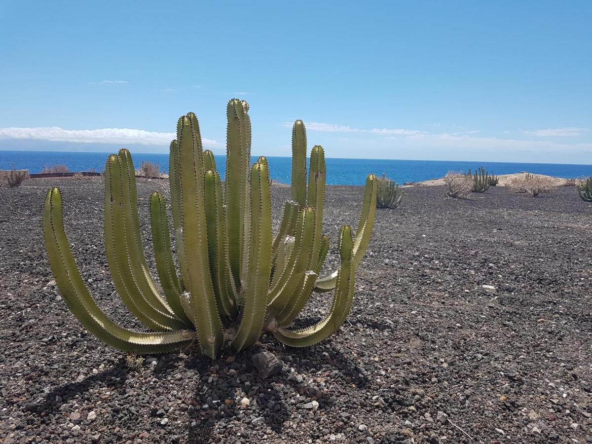 Tenerife Lizards - Duplex In The First Line Villa Callao Salvaje Exterior foto