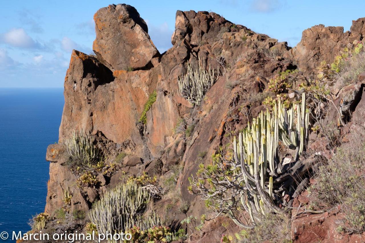 Tenerife Lizards - Duplex In The First Line Villa Callao Salvaje Exterior foto